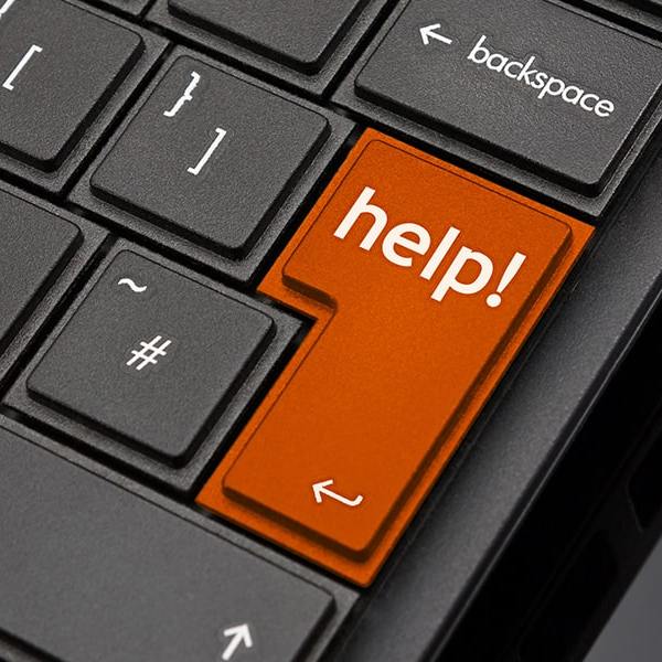 Need help with our website?