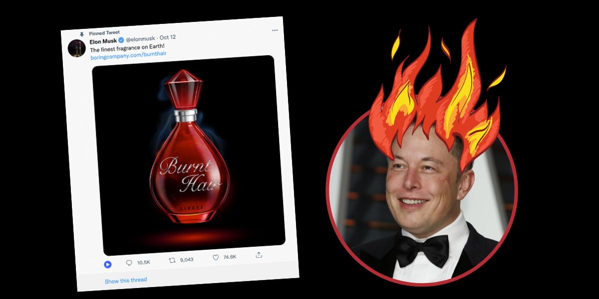 Elon Musk makes a cool million selling 'burnt hair' - 2EC