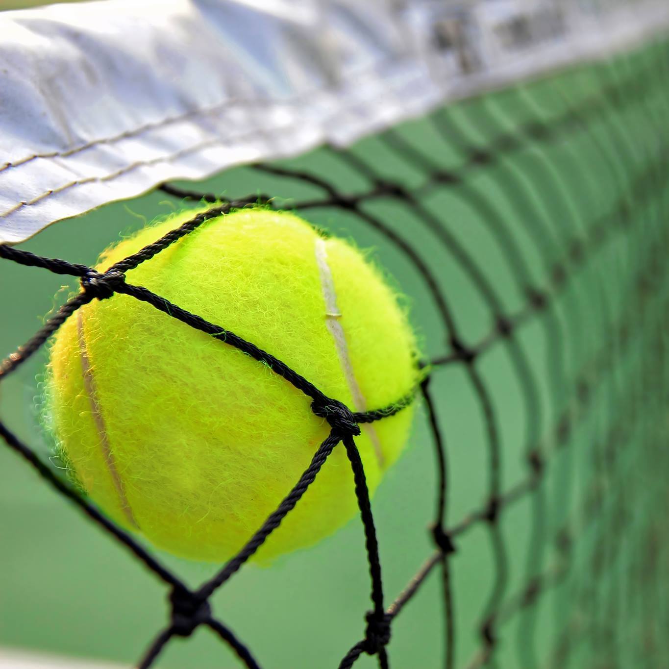 Batemans Bay Tennis Club