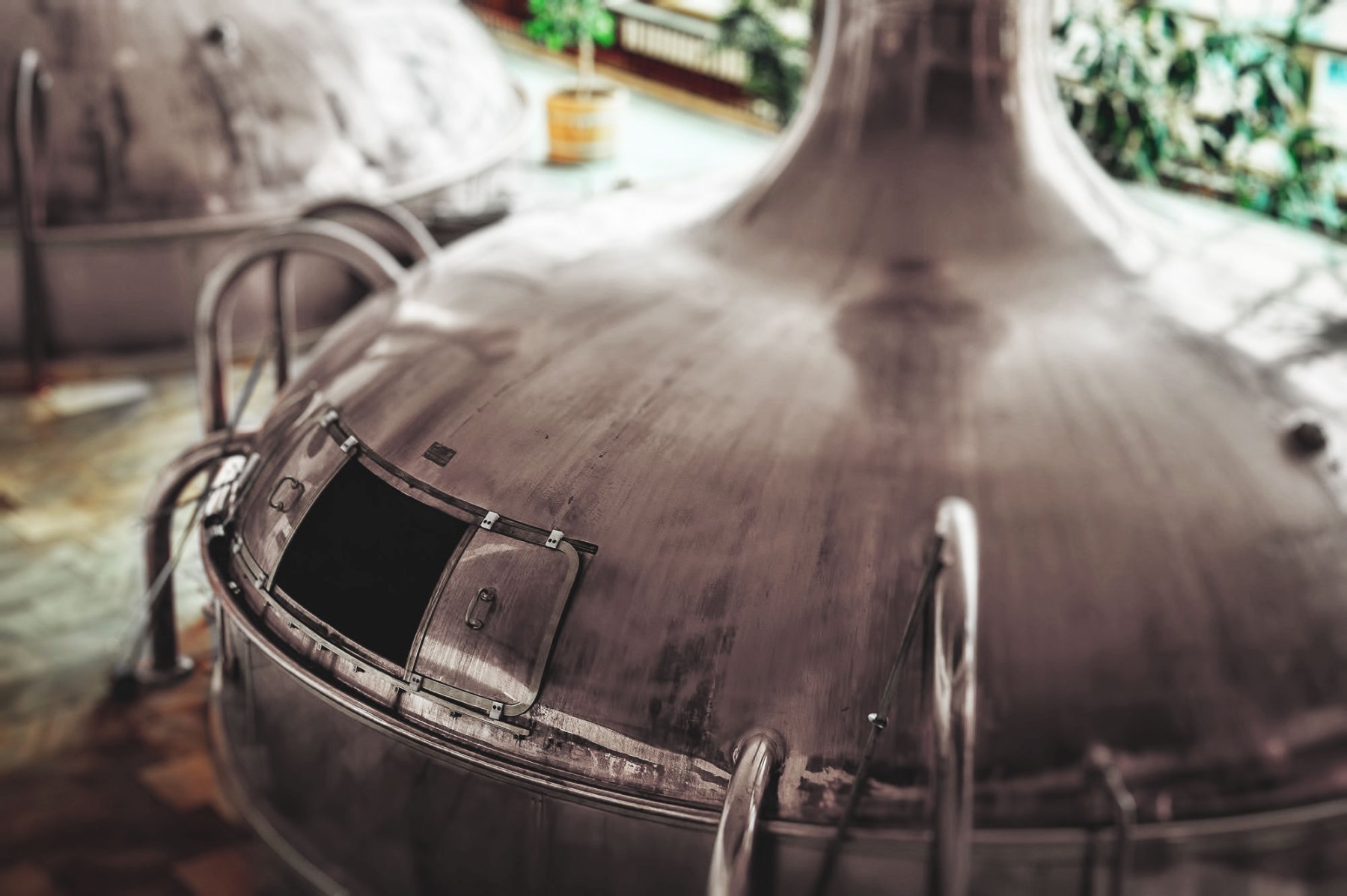 Grand Matriarch Distilling