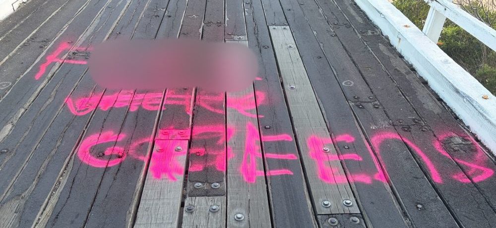 Historic Cuttagee Bridge attacked by spray painting vandals again